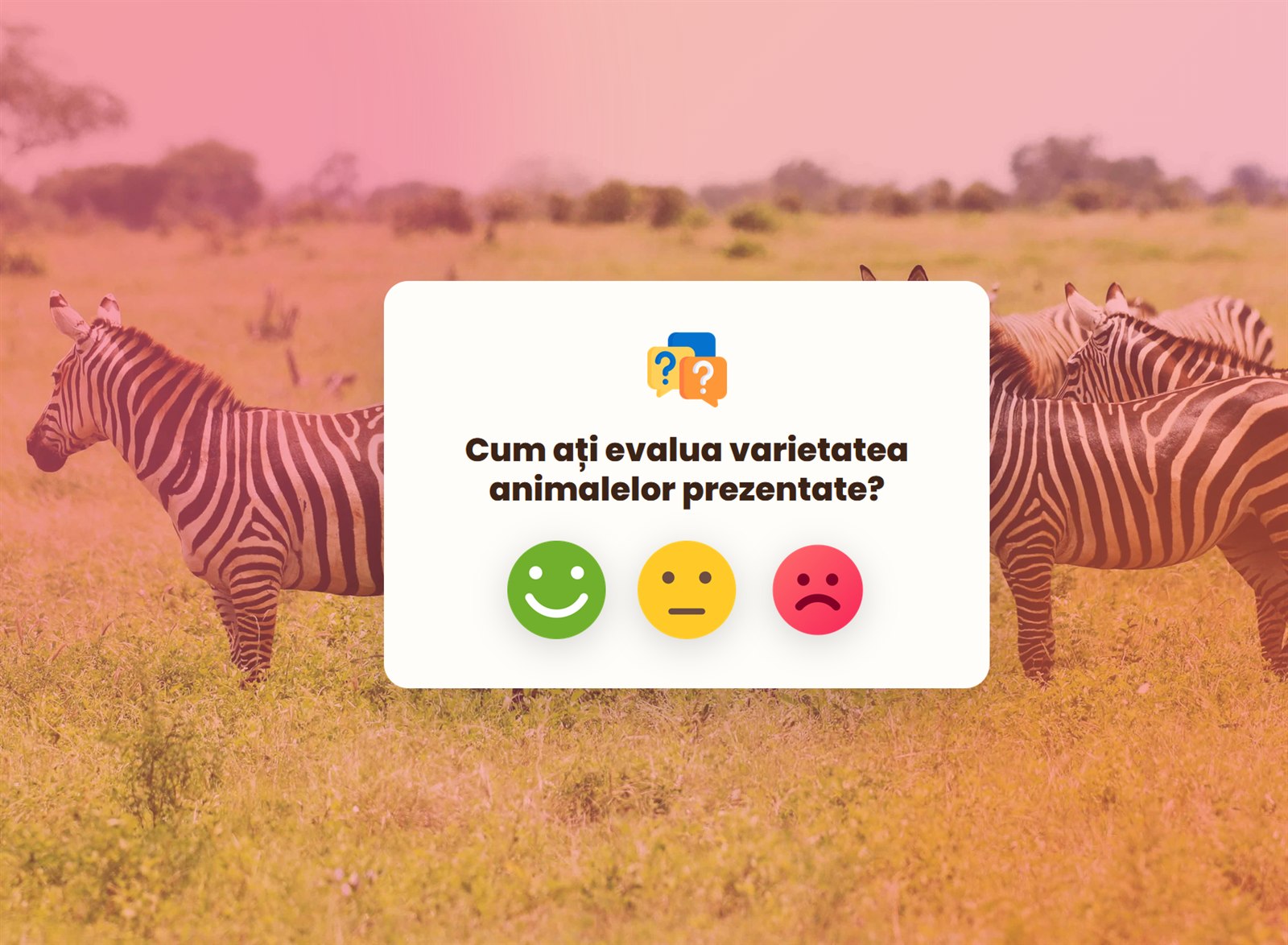 Chestionar cu evaluare smiley — aplicatie feedback recenzii clienti chestionar satisfactie QR