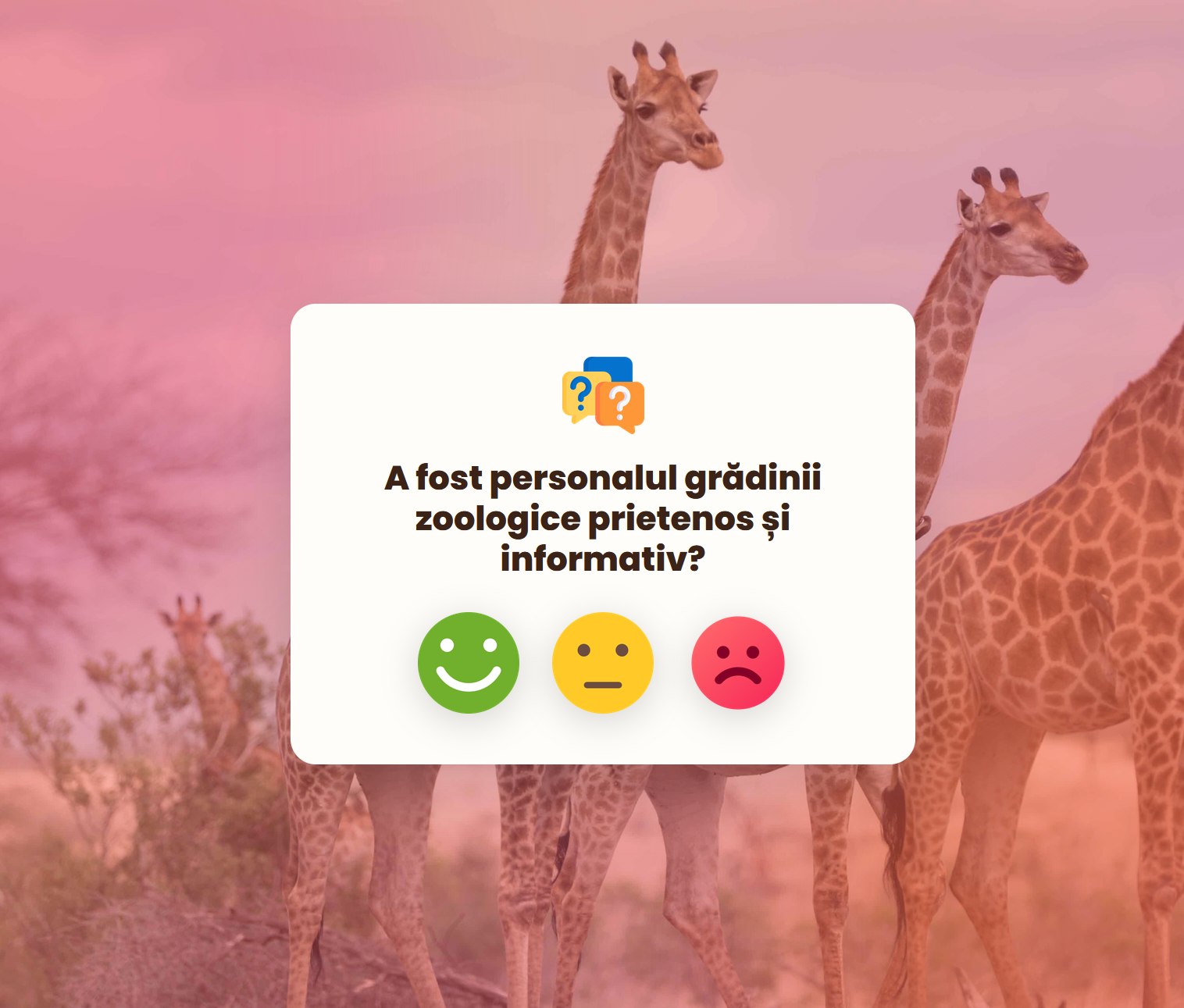 Întrebare despre amabilitatea personalului — aplicatie feedback recenzii clienti chestionar satisfactie QR