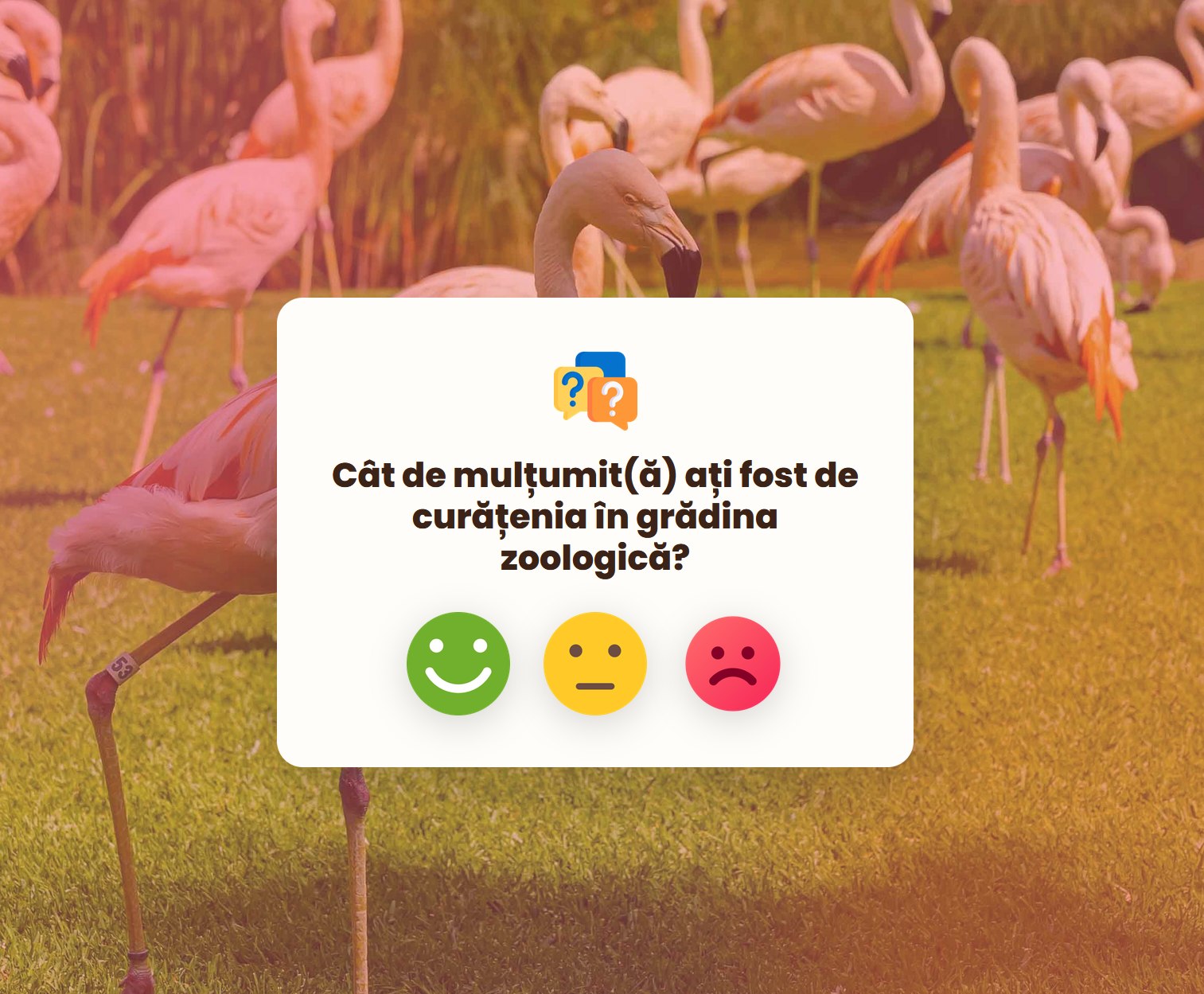 Sondaj de satisfacție cu rating emoji — aplicatie feedback recenzii clienti chestionar satisfactie QR